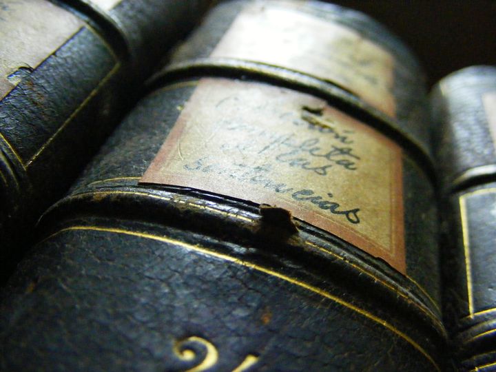 biblioteca 026 copy.jpg